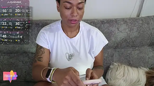 harpertown online show from 04.25.26