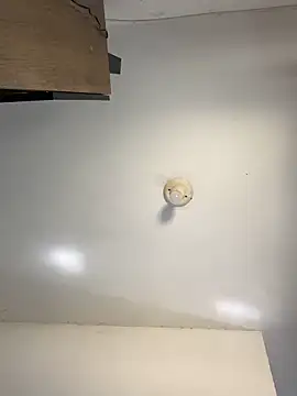 Snapshot of sanches_065 chatting on 04.06.26 sanches 065 online show from 04.06.26