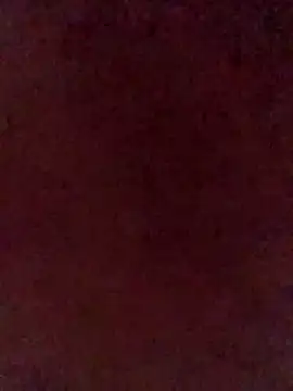 illdoitforetty online show from 04.14.26