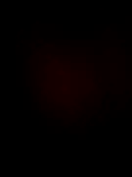 James123x online show from 04.17.26