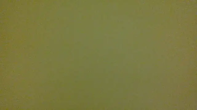 average jack online show from 04.16.26