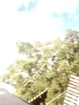 loonelw online show from 04.18.26