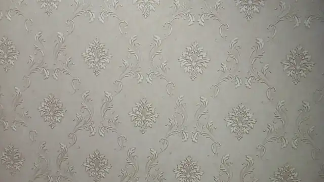 Snapshot of DelicaBrome chatting on 07.19.26 DelicaBrome online show from 07.19.26
