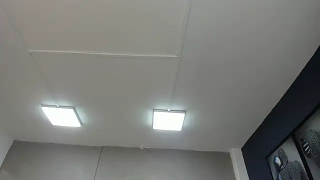 Charlie   Musk online show from 06.19.26