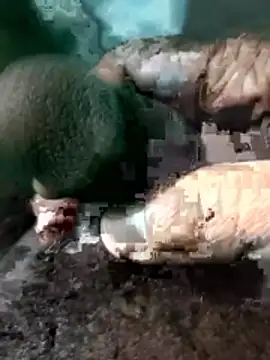 Peterhadly online show from 04.28.26