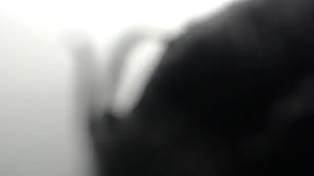 Snapshot of SCARLET_ROUSE_M chatting on 05.27.26 SCARLET ROUSE M online show from 05.27.26
