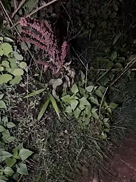 Snapshot of Jam002_ chatting on 06.05.26 Jam002 online show from 06.05.26