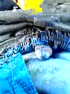 indiandeshi online show from 06.24.26