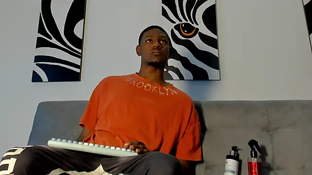 Drake Wit1 online show from 06.02.26