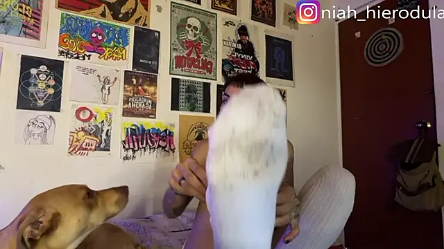 niah 11 online show from 07.15.26