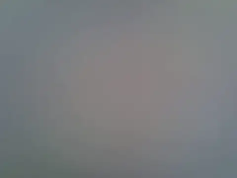 berrynova online show from 07.25.26