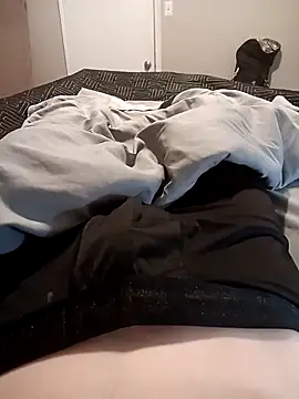 Mstrdstrctn7 online show from 01.04.25