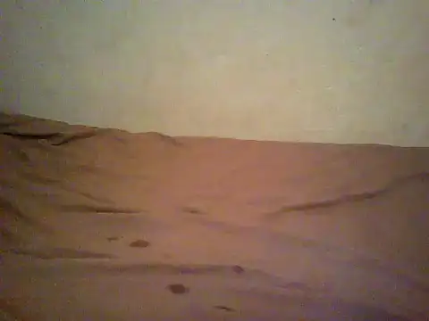 HomeBully online show from 06.27.26