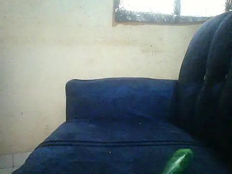 HomeBully online show from 07.08.26
