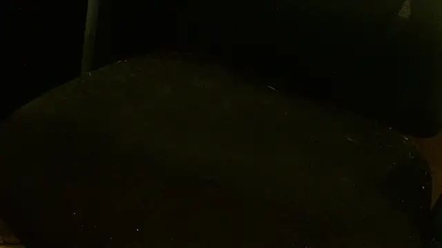 Snapshot of MagicCockMan chatting on 06.20.26 MagicCockMan online show from 06.20.26
