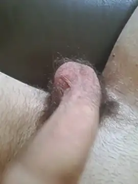 Snapshot of ShyDicksGuy chatting on 07.21.26 ShyDicksGuy online show from 07.21.26