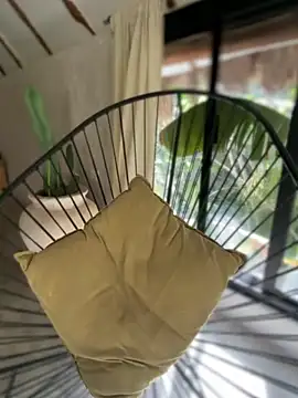 Blaackcat online show from 11.25.25