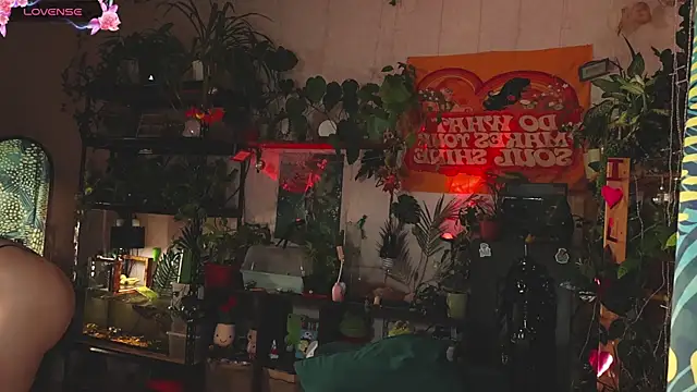 Snapshot of Dead_Butterfly chatting on 11.01.25 Dead Butterfly online show from 11.01.25