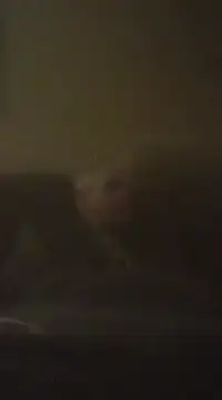 Snapshot of Biknight chatting on 12.09.24 Biknight online show from 12.09.24