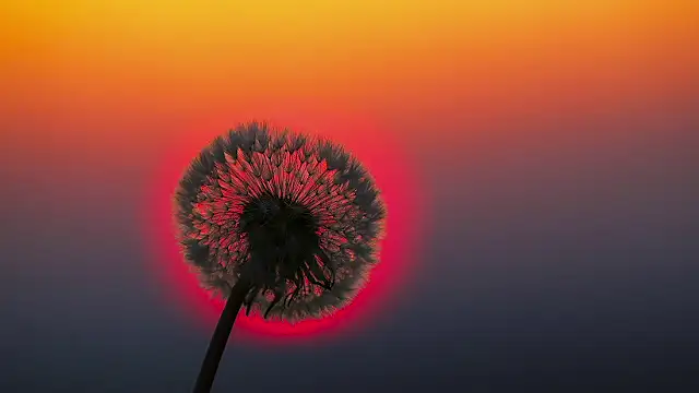 Snapshot of Sunning2 chatting on 09.16.25 Sunning2 online show from 09.16.25