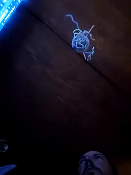 UncutHammer69 online show from 04.09.26