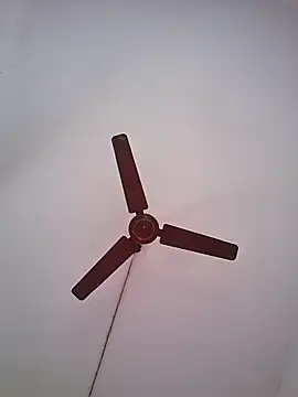 Snapshot of BlackBoy_Kolkata chatting on 06.19.26 BlackBoy Kolkata online show from 06.19.26