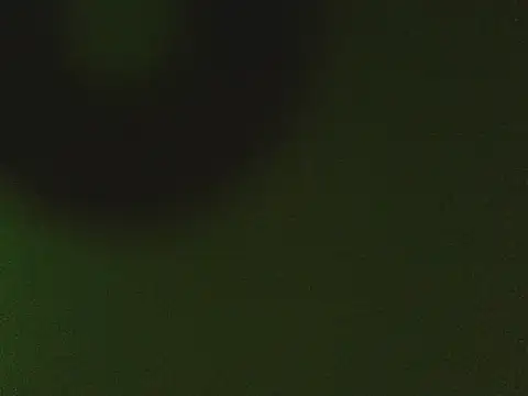 lonelycock33 online show from 11.19.25