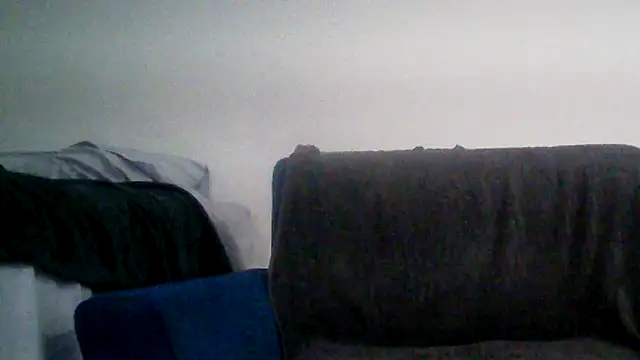 TOYTOYNOW online show from 12.24.24