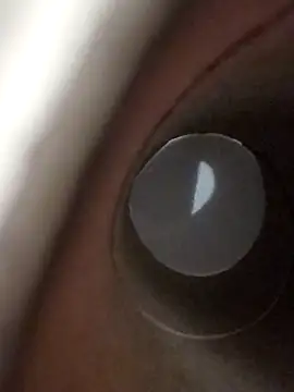 domjoab online show from 01.17.26