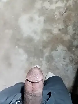 Bengali BULL1 online show from 11.15.25