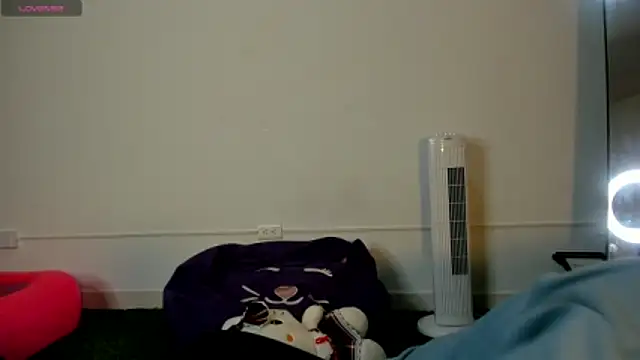 AbbyTaylorr online show from 11.11.25