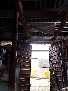 Snapshot of sarpe4 chatting on 10.04.25 sarpe4 online show from 10.04.25