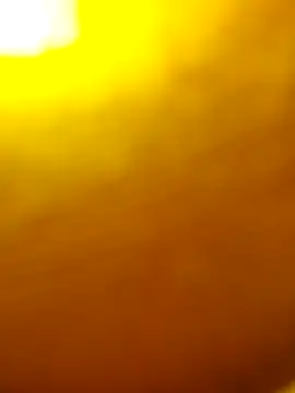 salonidesimaal online show from 02.01.25