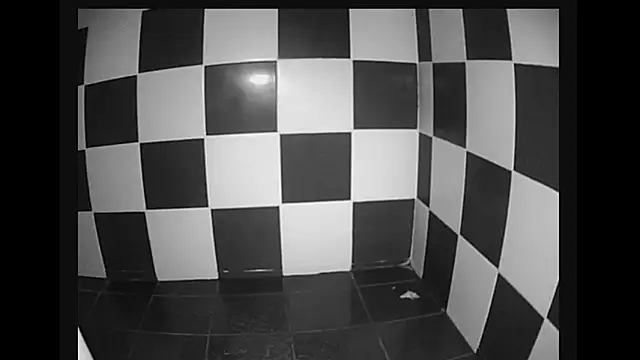 Snapshot of lysergic47 chatting on 01.28.25 lysergic47 online show from 01.28.25