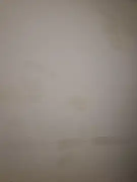 Adivaaa online show from 10.16.25