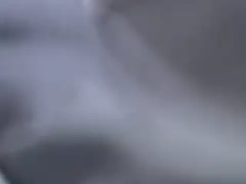 perescam online show from 03.15.25