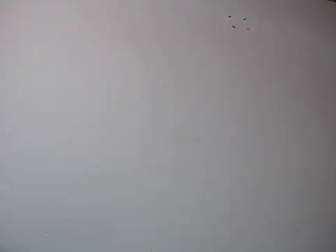 Mia davis01 online show from 01.12.25