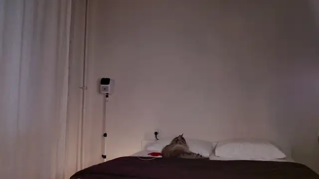 Snapshot of Milky___Way chatting on 10.05.25 Milky Way online show from 10.05.25