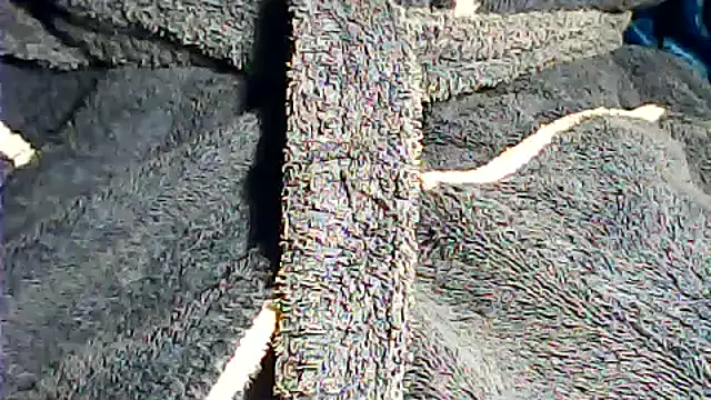 Snapshot of kalinixta chatting on 10.02.25 kalinixta online show from 10.02.25