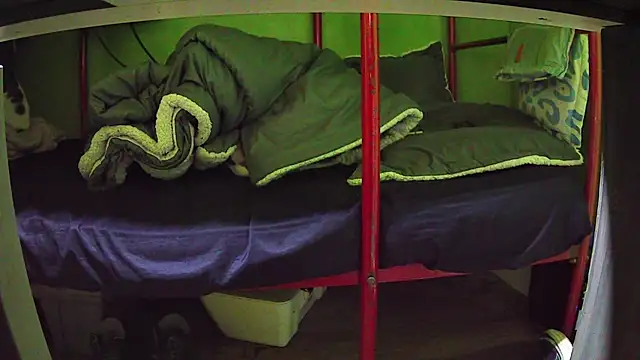 Walltaz online show from 03.24.26