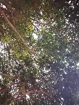 Brenda Berck  online show from 04.05.26