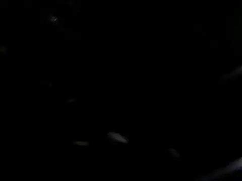 Snapshot of giga-bite chatting on 10.10.25 giga-bite online show from 10.10.25