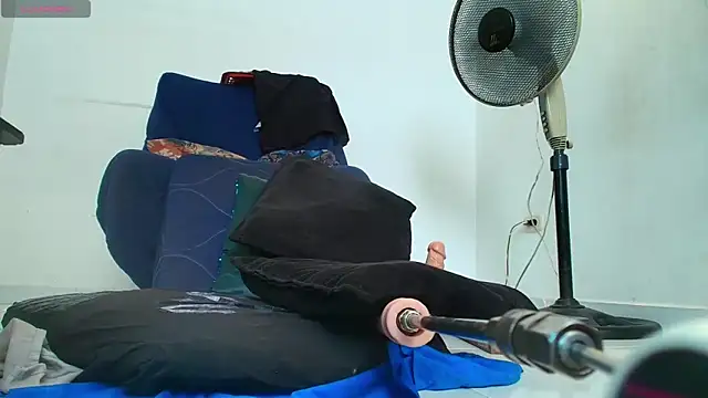 abigail curvy online show from 11.14.25