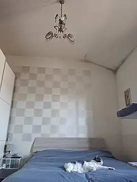 simona60 online show from 03.29.26