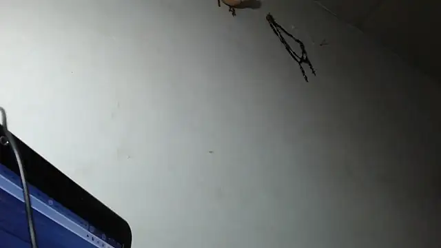 adrixxx38 online show from 03.05.26