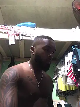 livepro online show from 02.20.25