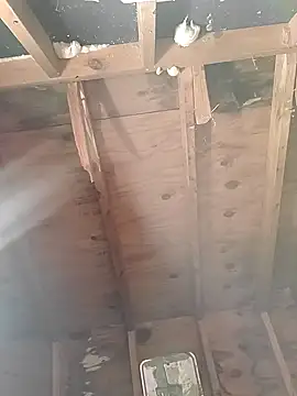 MaddyC6992 online show from 12.26.24