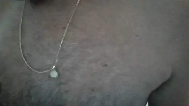 Leo Big online show from 02.26.26