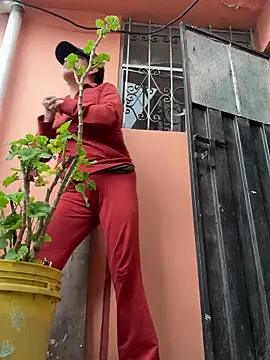 latinfemale online show from 11.11.25