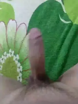 Snapshot of dickbastienweed chatting on 01.30.25 dickbastienweed online show from 01.30.25